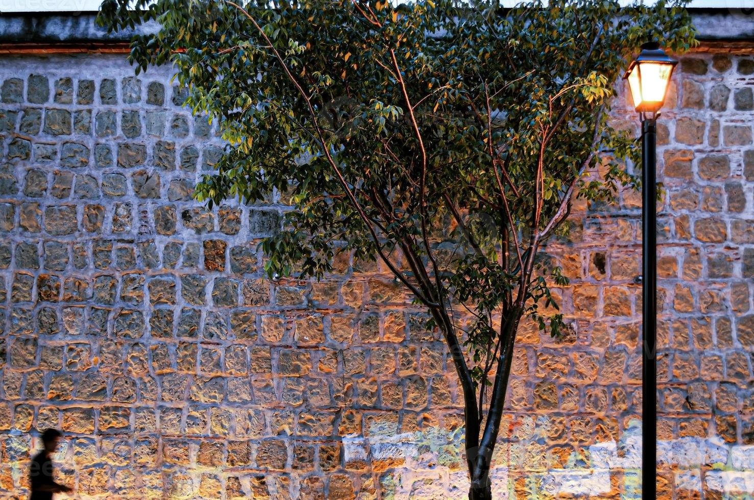 pietra parete con strada illuminazione con un' albero nel davanti di il parete foto