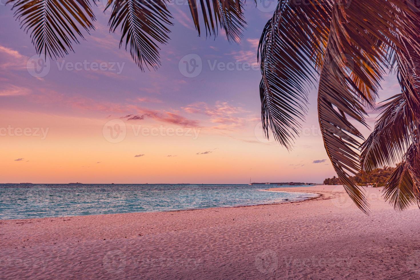 fantastico avvicinamento Visualizza di calma mare palma albero foglie, arancia Alba tramonto luce del sole. tropicale isola spiaggia paesaggio, esotico riva costa. estate vacanza, vacanza sorprendente natura scenico. rilassare Paradiso foto