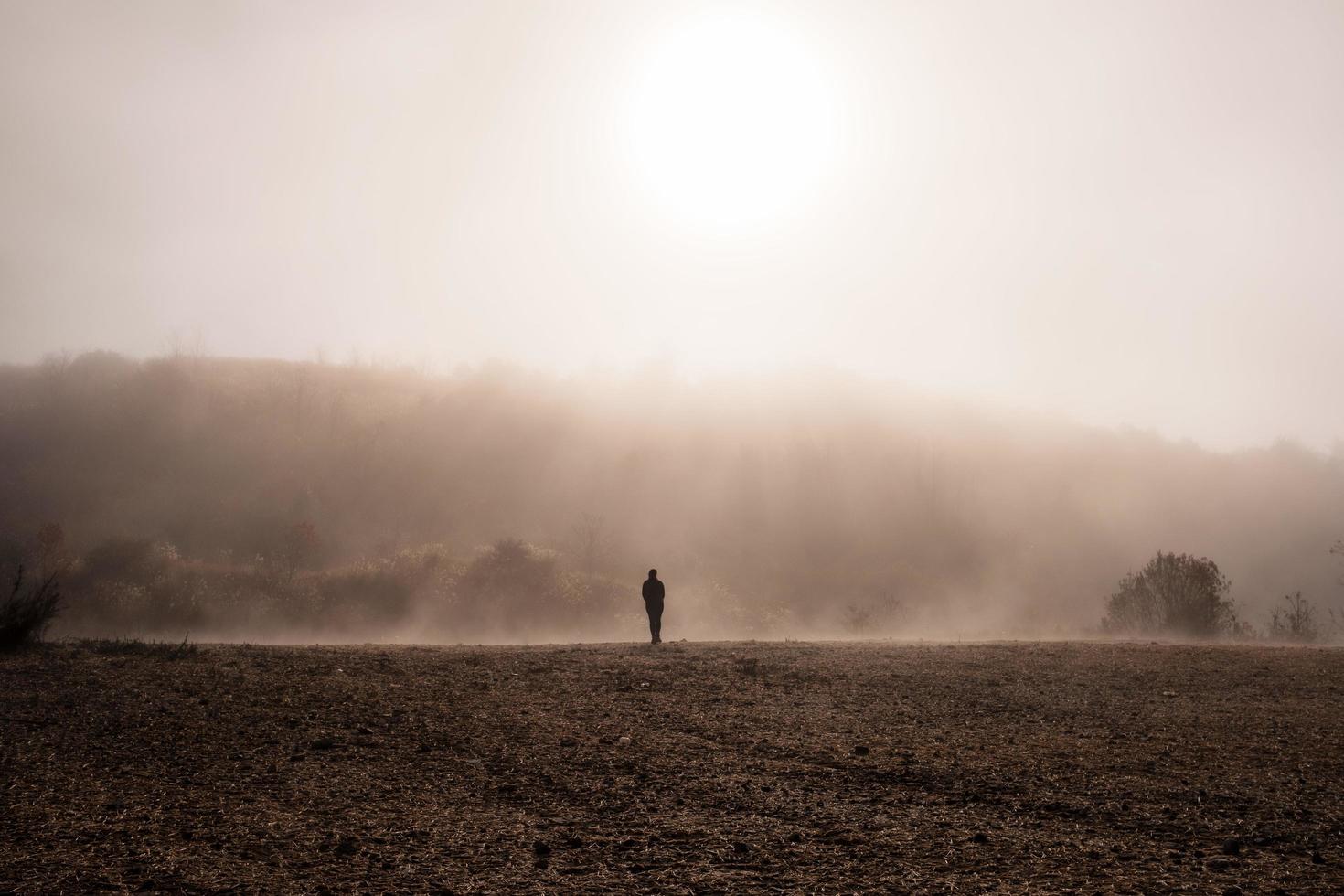 silhouette di persona che cammina sul campo marrone foto