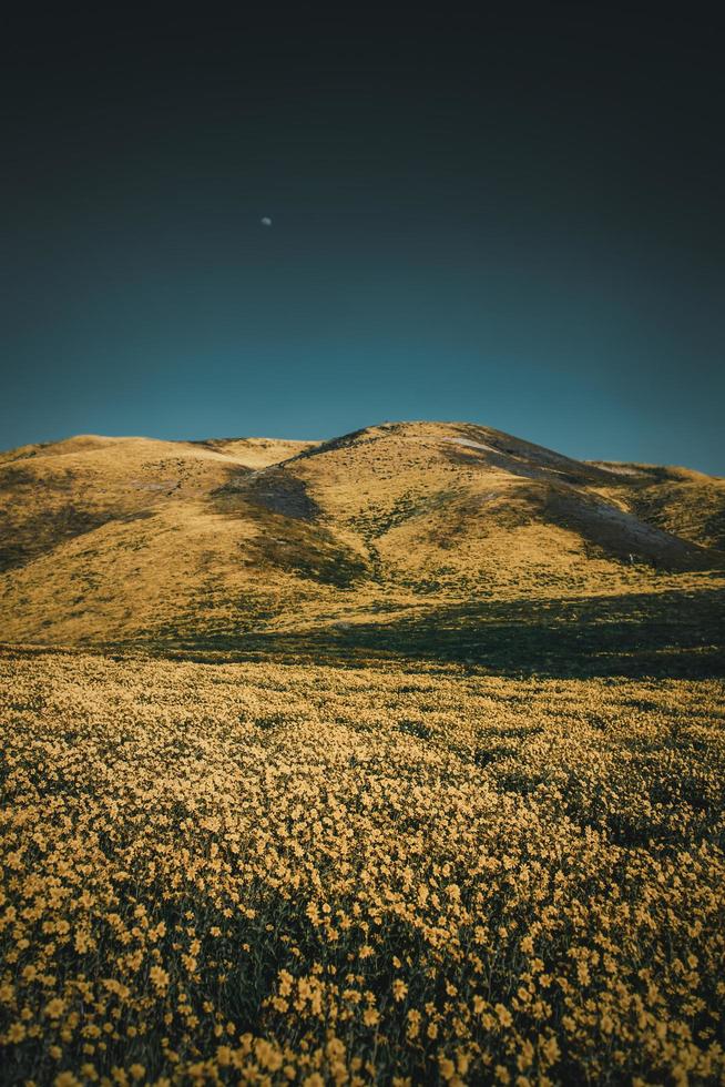 campo vicino a colline sotto il cielo blu foto