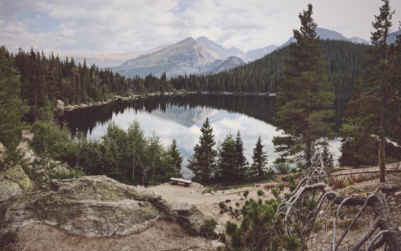 lago tra gli alberi foto