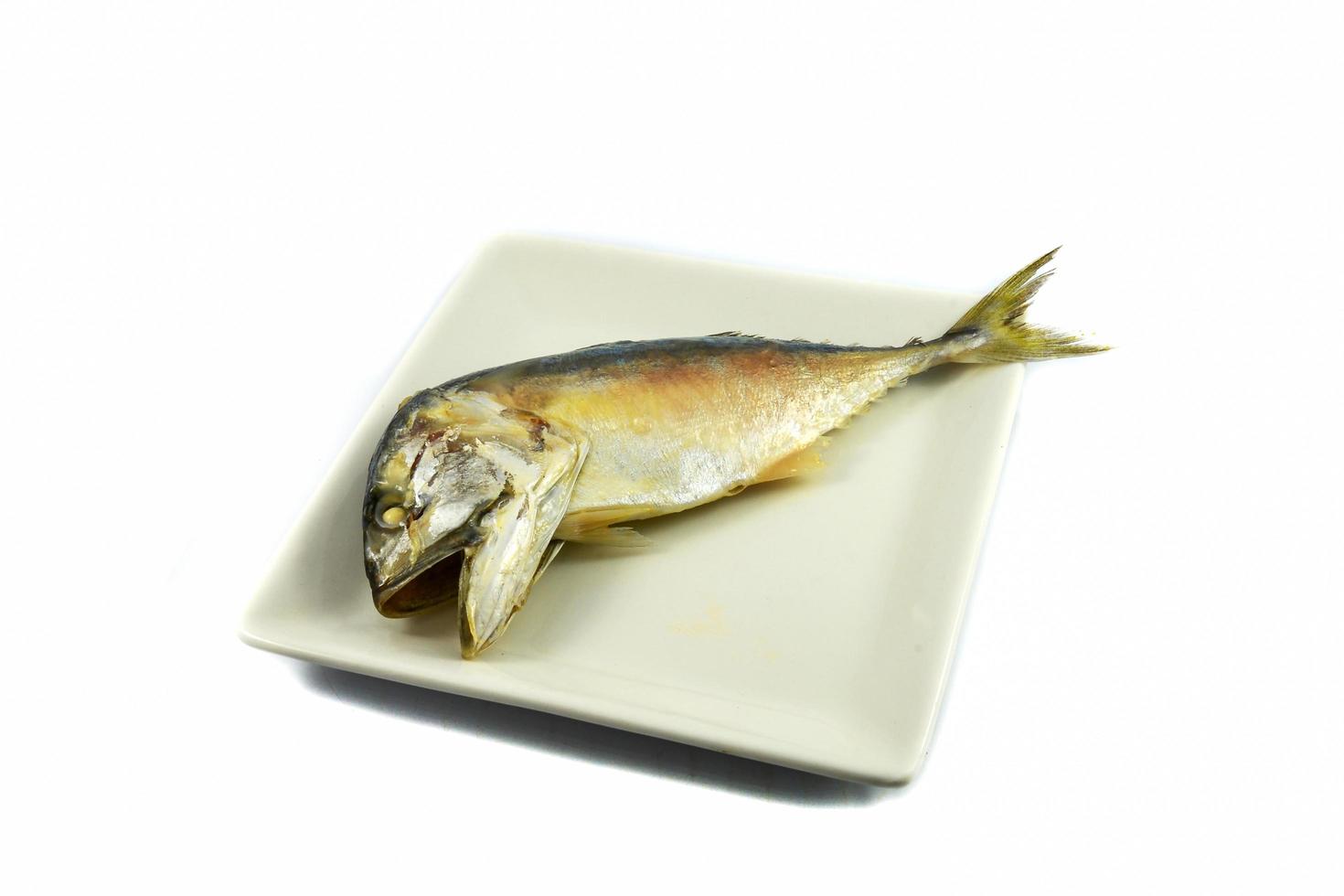 al vapore sgombro pesce su piatto isolato su bianca sfondo foto
