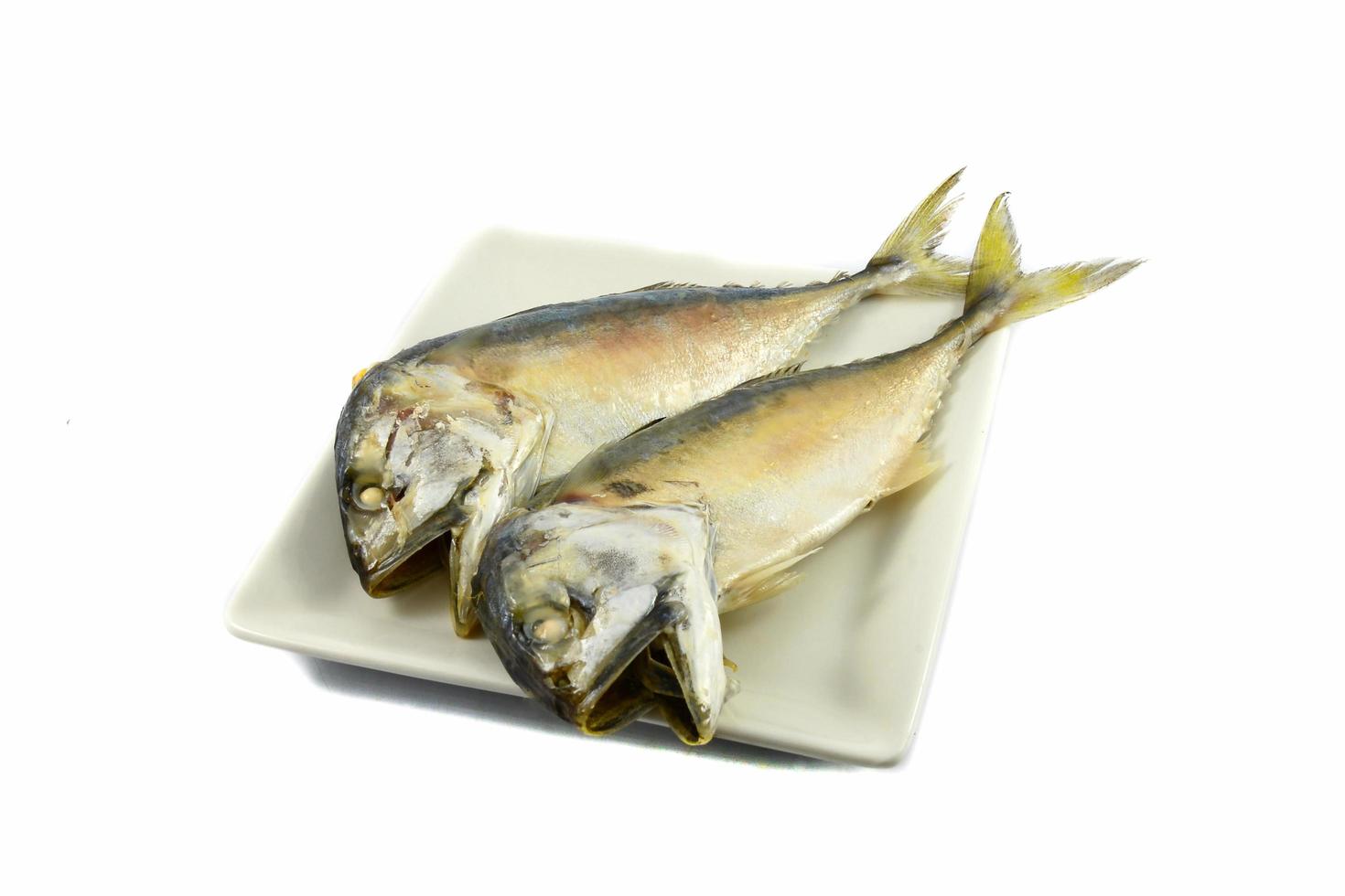 al vapore sgombro pesce su piatto isolato su bianca sfondo foto