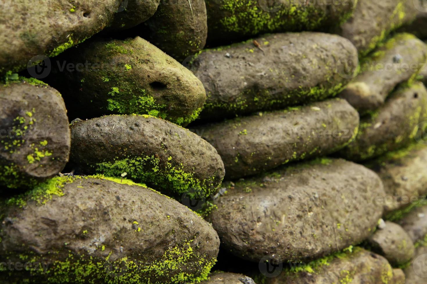 muschio verde sui muri di pietra e mattoni a bali. foto