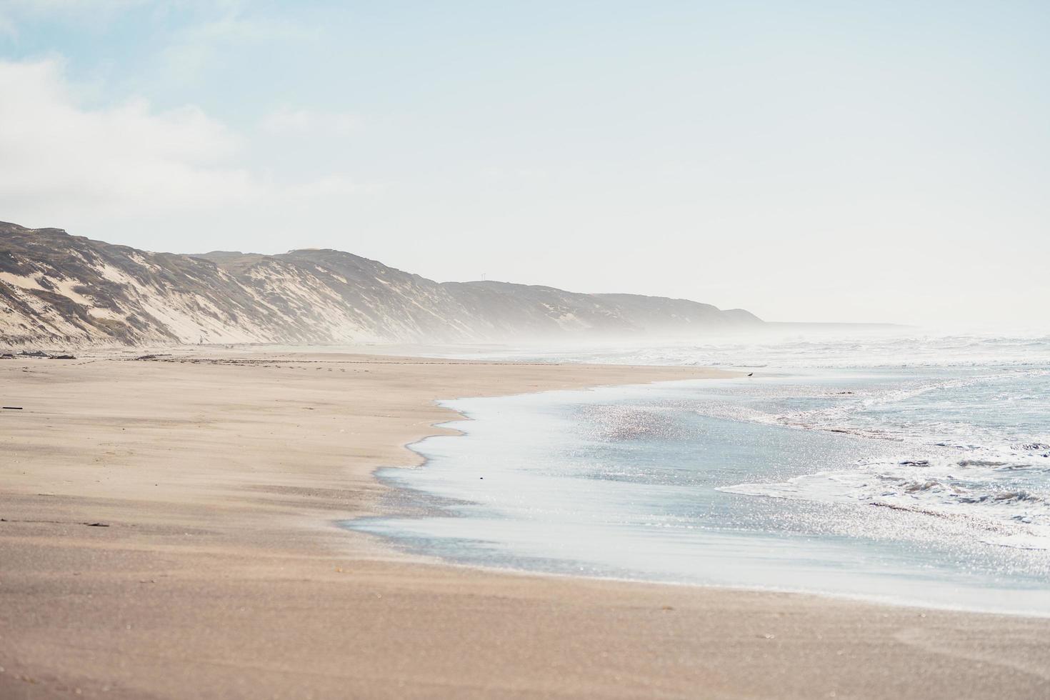 spiaggia nebbiosa durante il giorno foto