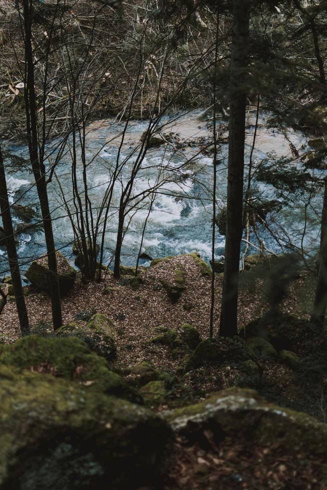 guardando il fiume dalla scogliera foto