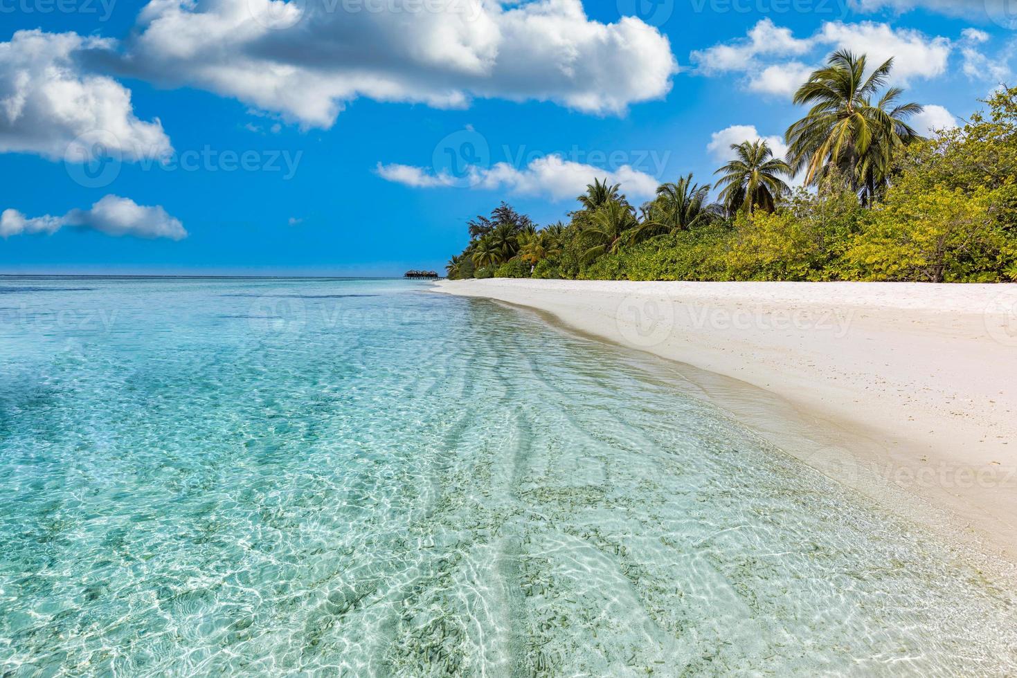 Paradiso isola spiaggia. tropicale paesaggio di estate scenico, mare sabbia cielo con palma alberi. lusso viaggio vacanza destinazione. esotico spiaggia paesaggio. sorprendente natura, relax, la libertà natura modello foto