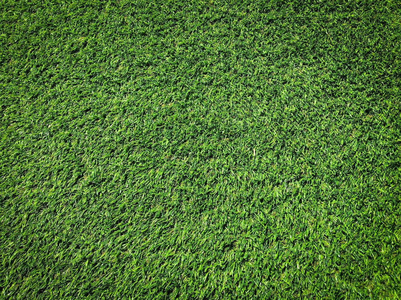 verde erba struttura sfondo con copia spazio per disegno, superiore Visualizza foto