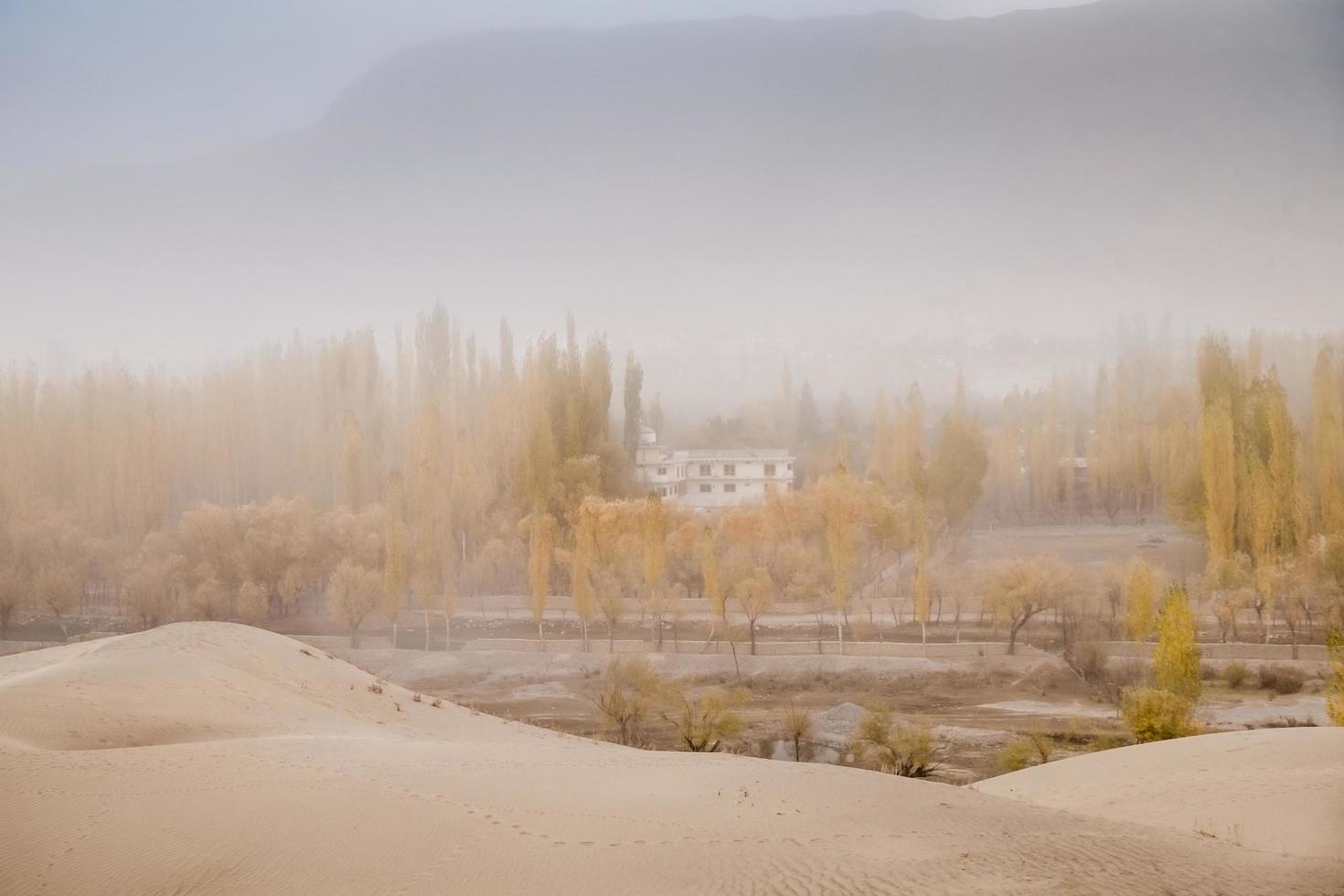 vista da sogno del vento nel deserto foto