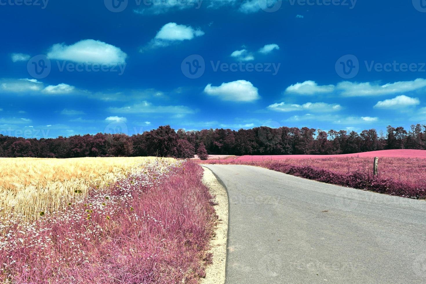 bellissimo viola infrarosso paesaggio nel alto risoluzione foto