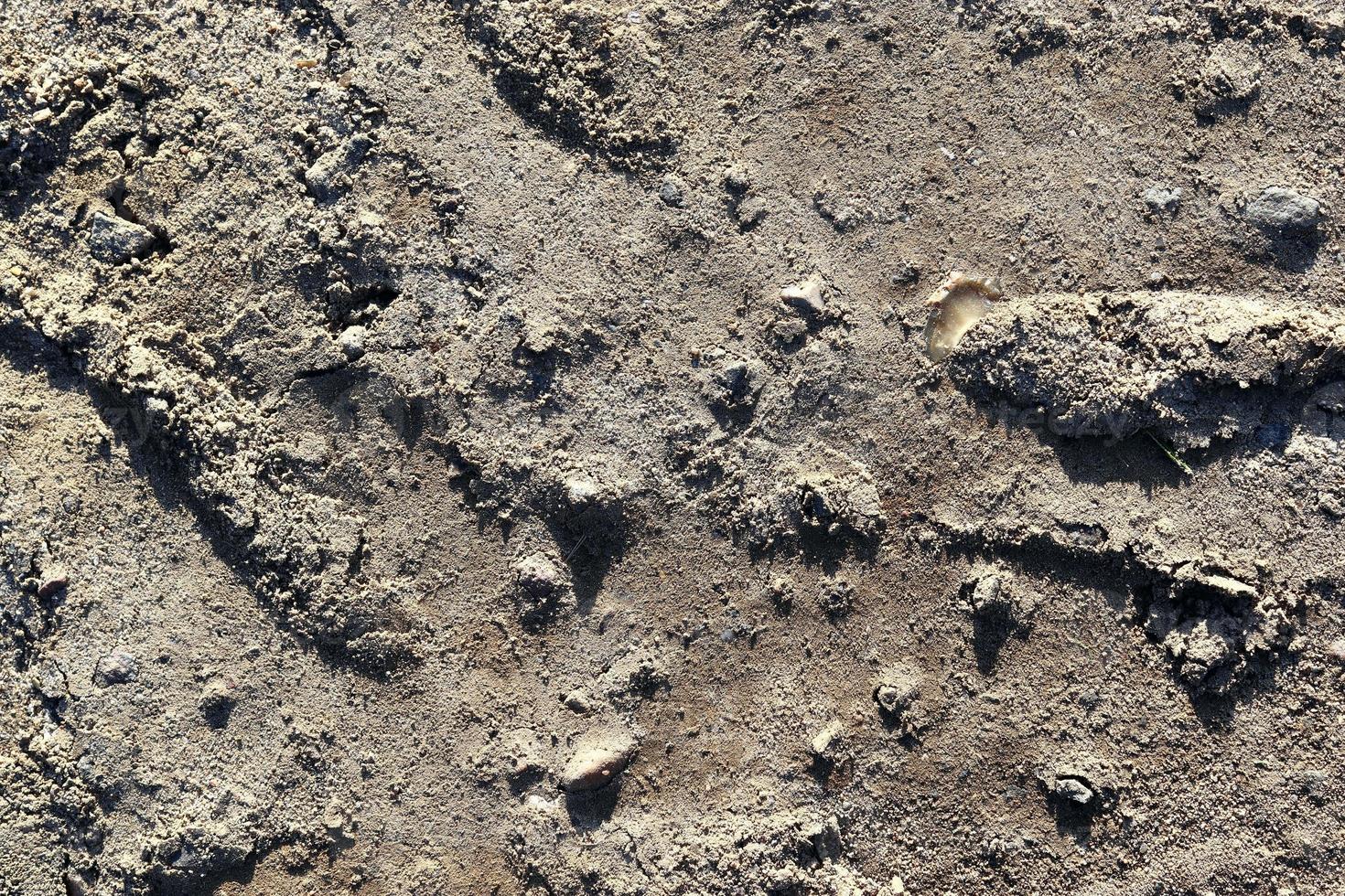 dettagliato vicino su Visualizza su un' Marrone sabbia terra struttura foto