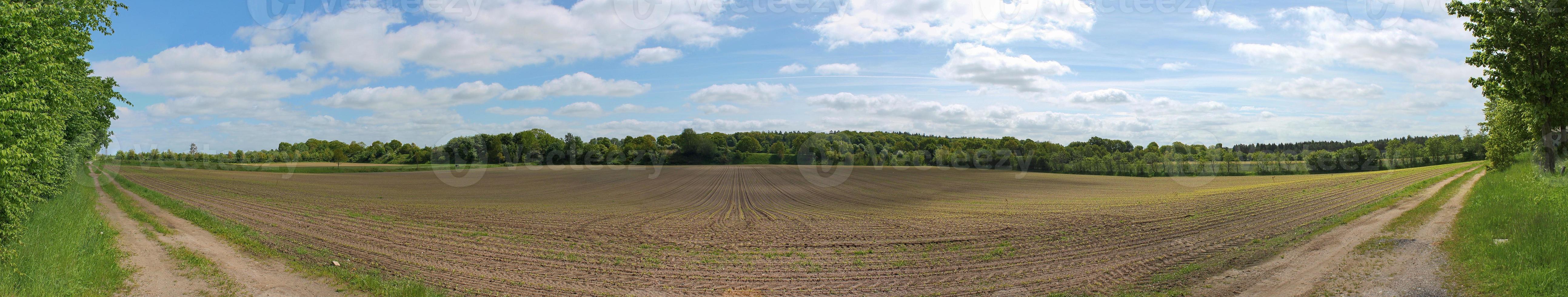 bellissimo panorama ad alta risoluzione di un paesaggio di un paese dell'Europa settentrionale con campi ed erba verde foto
