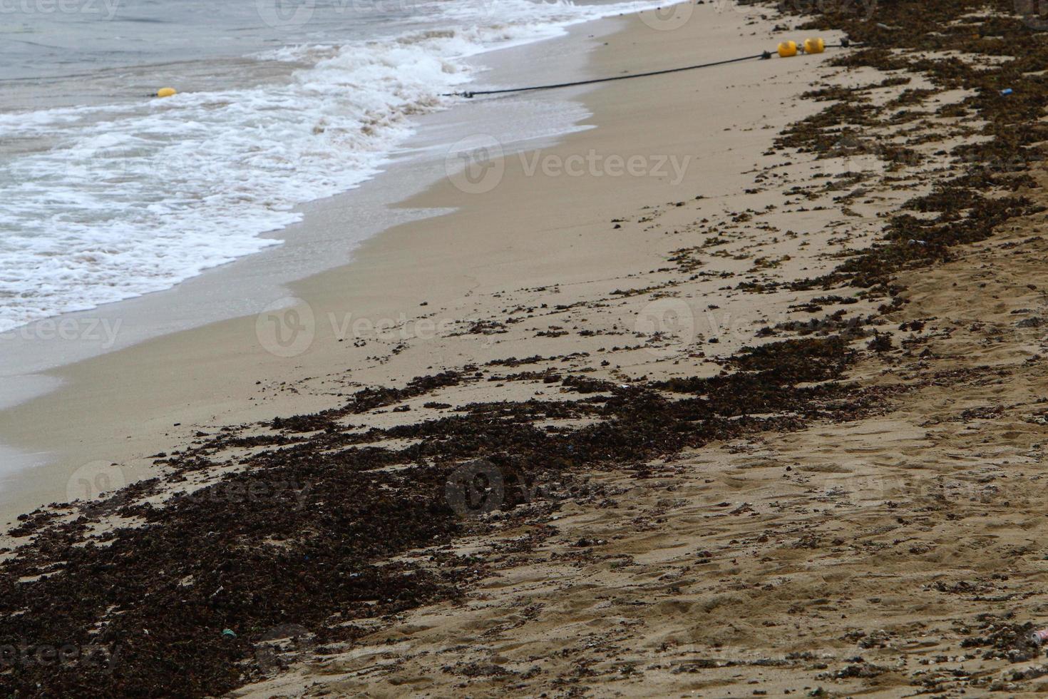 sabbioso spiaggia su il mediterraneo mare nel settentrionale Israele. foto