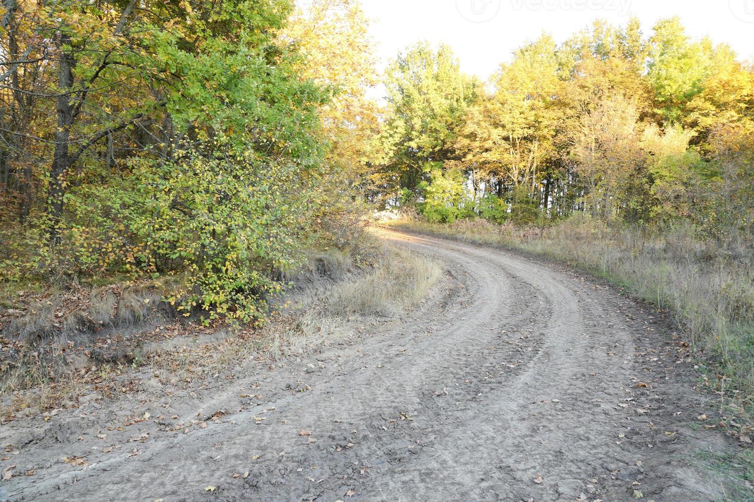 autunno paesaggio con un' curvo strada e tracce di il Filo di grande ruote di agricolo macchinari foto