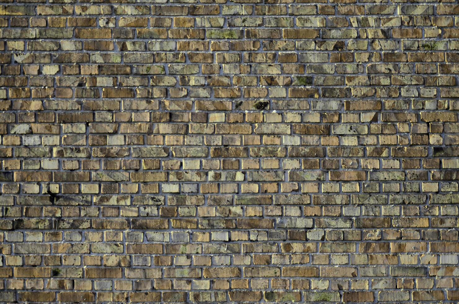 struttura del muro di mattoni rossi foto