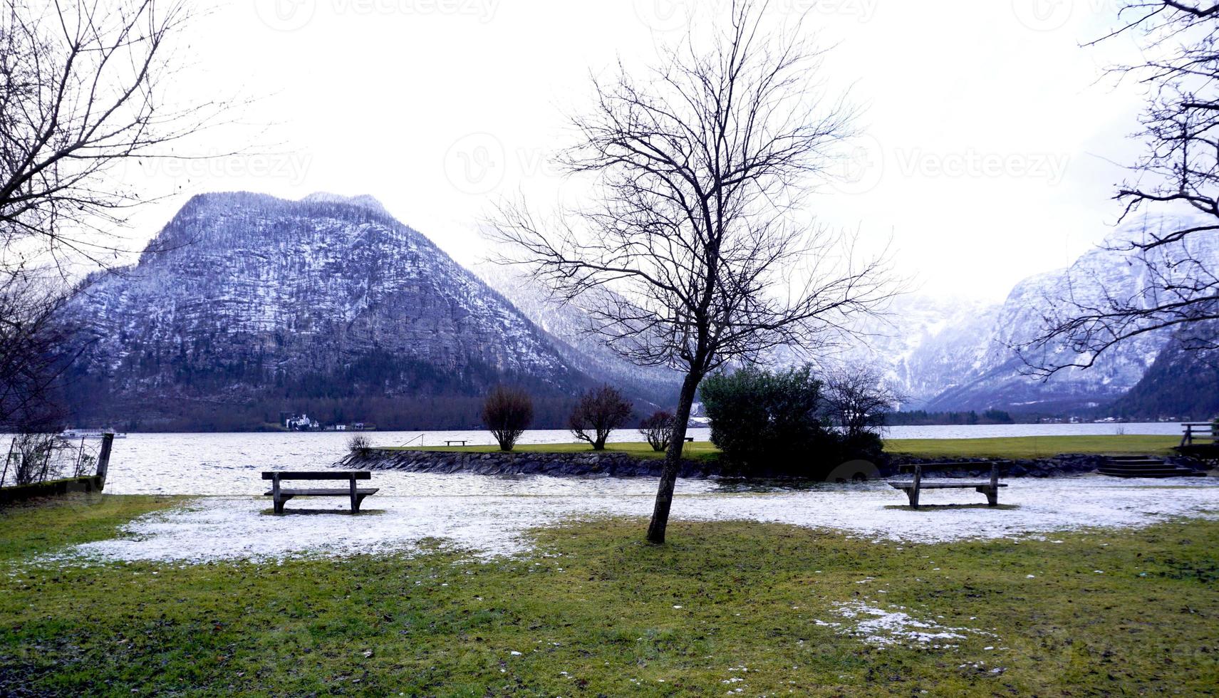 scena di Hallstatt lago e verde erba campo all'aperto e panchina per rilassante foto