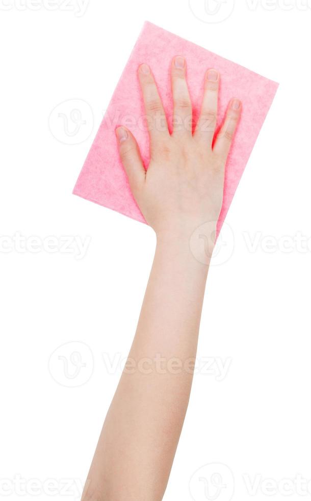superiore Visualizza di mano con rosa pulizia straccio isolato foto