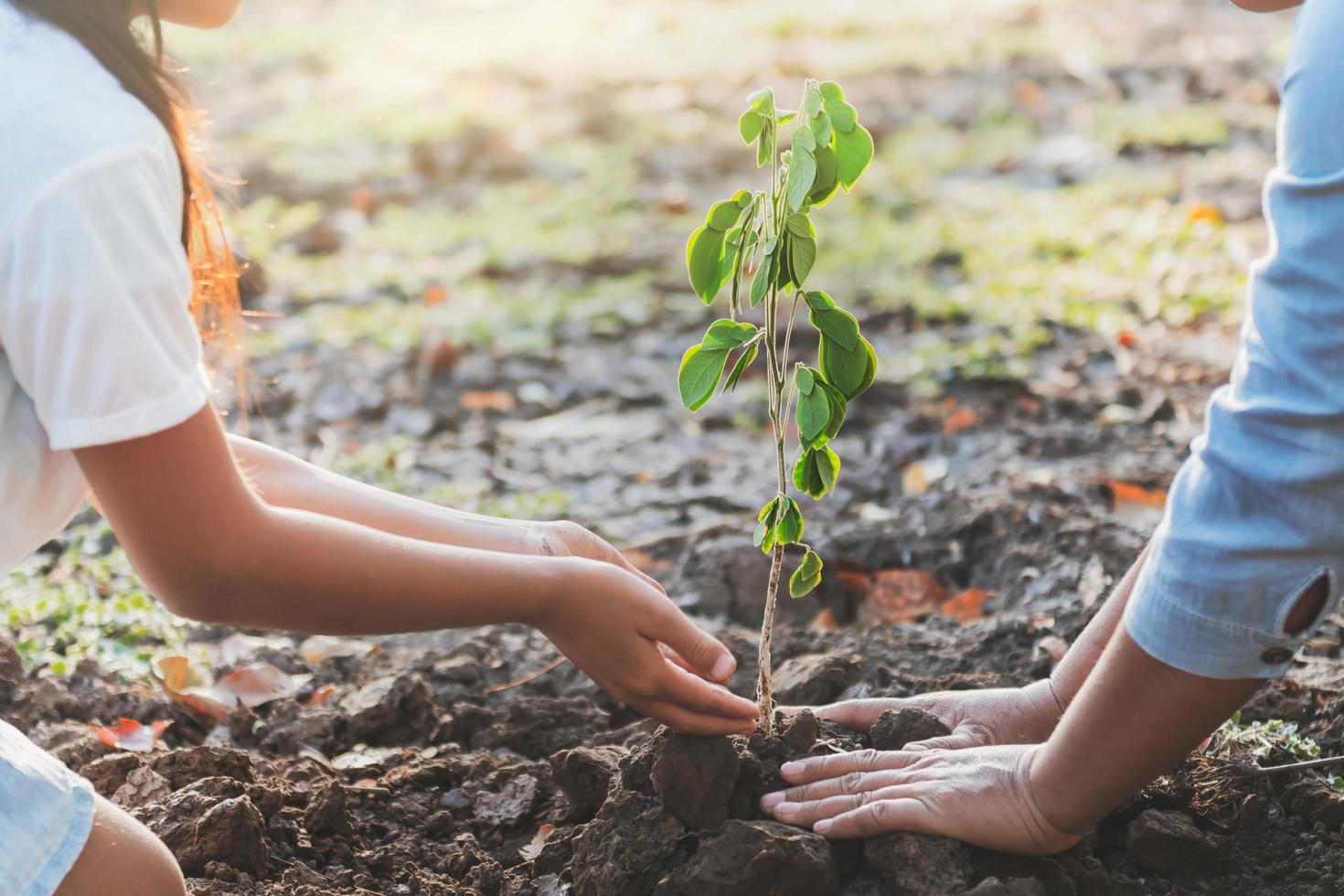 bambino e madre che piantano un giovane albero foto