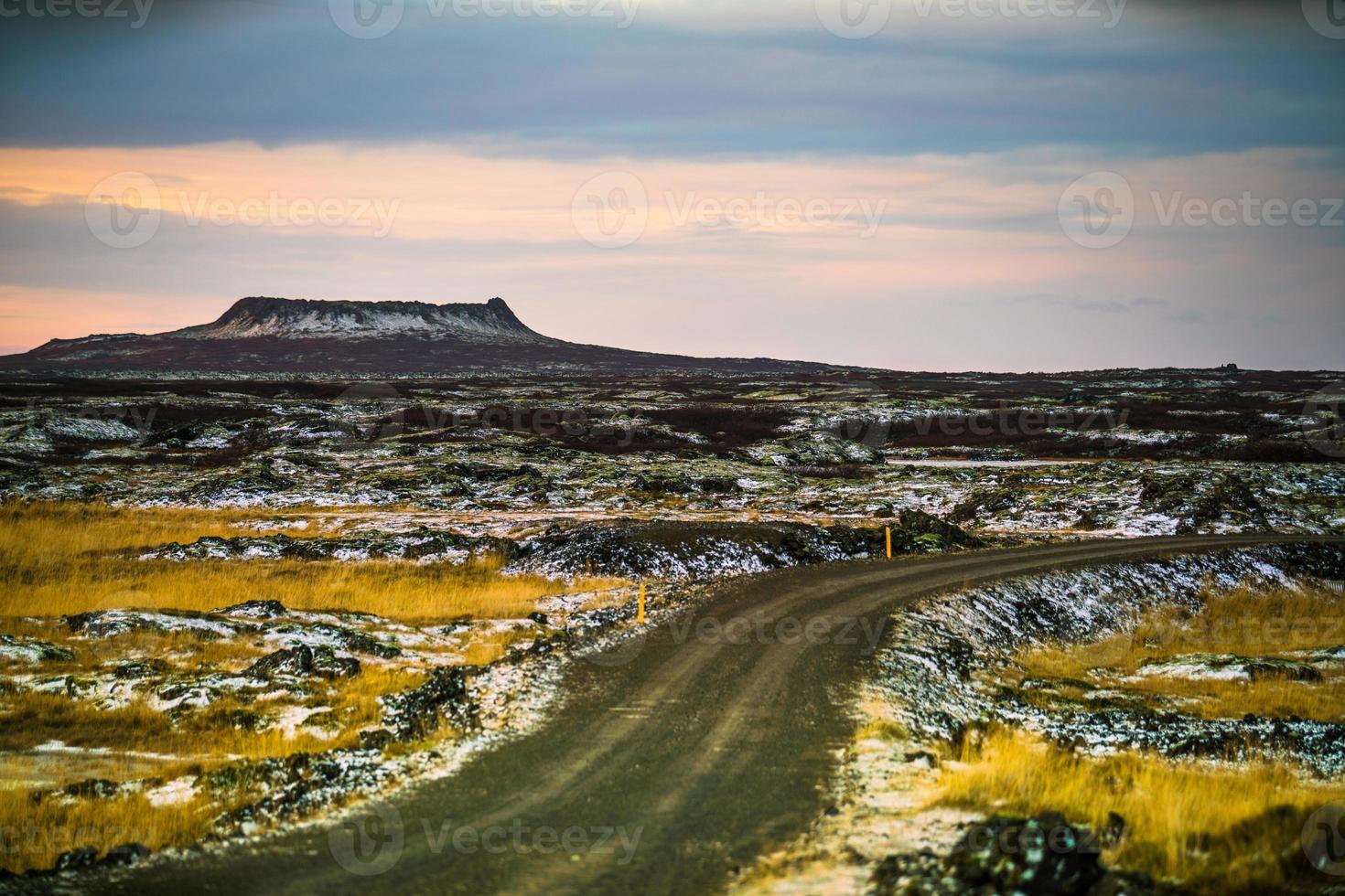 muschioso lava campo nel Islanda foto