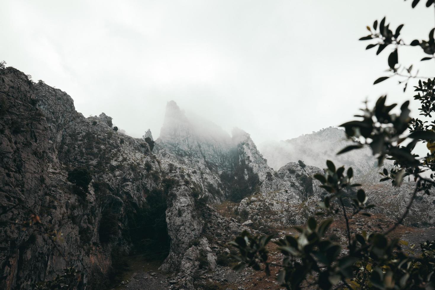 nube di nebbia sul picco di montagna foto