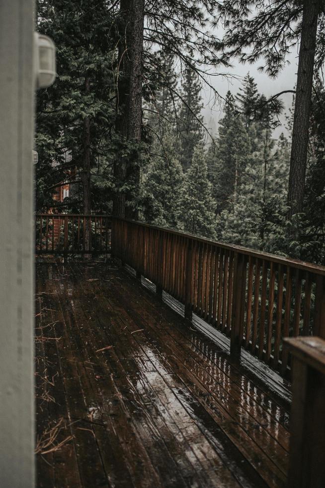 ponte di legno nella foresta foto