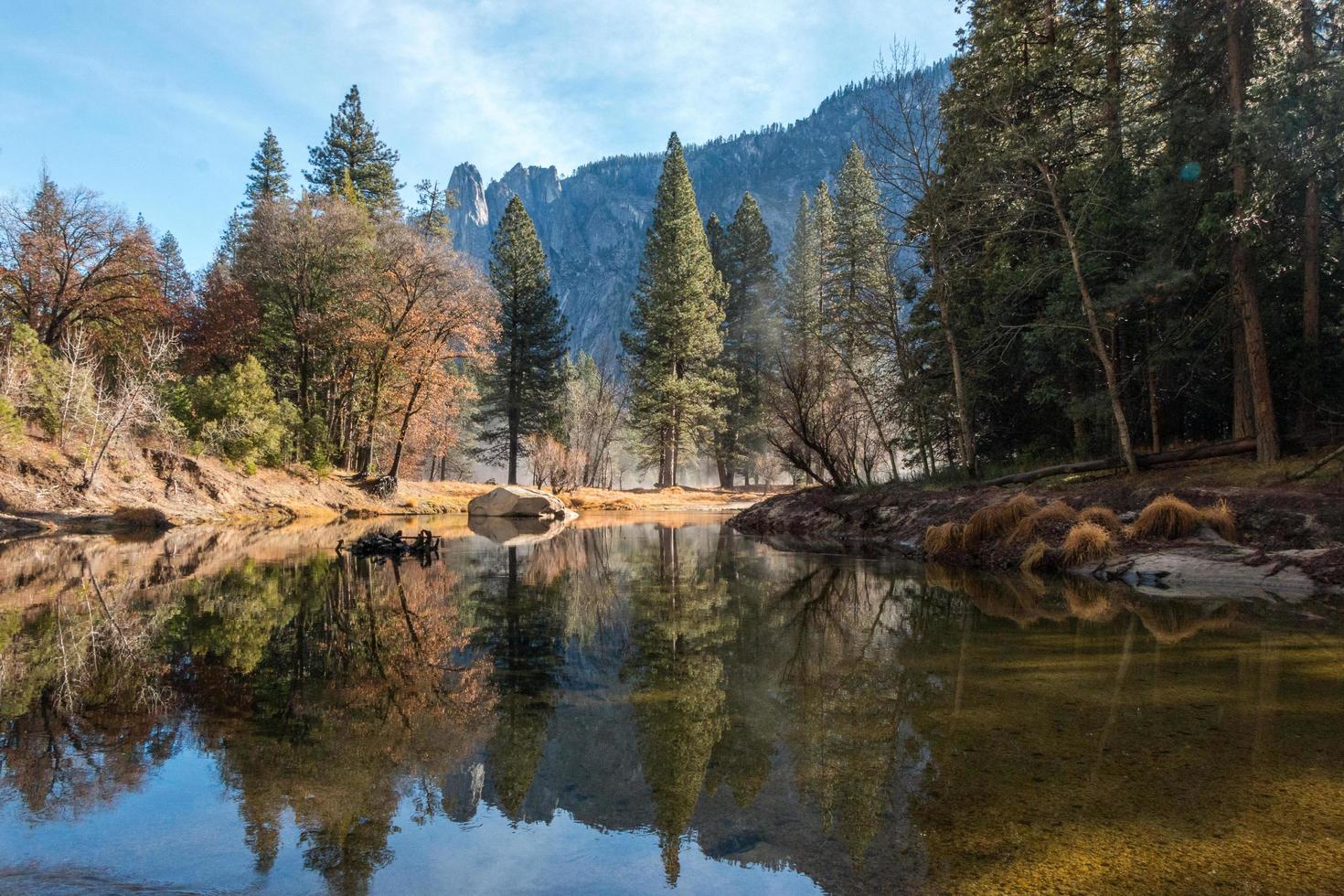 paesaggio scenico di alberi che riflettono sull'acqua foto