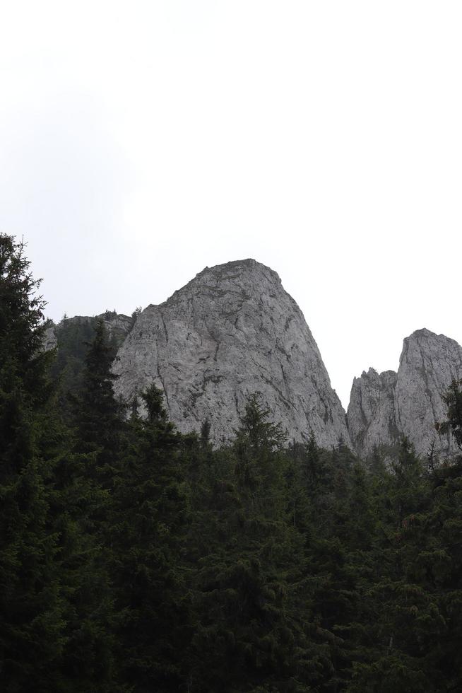 montagna formazioni trovato entro il hasmas itinerario foto