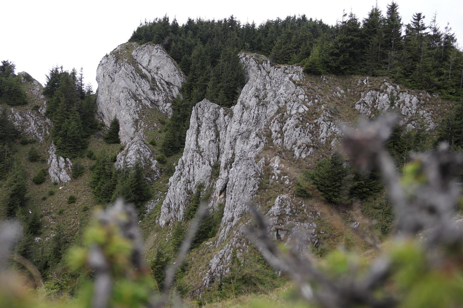 Immagine di uno di il montagna bande entro hasmasul cavalla foto