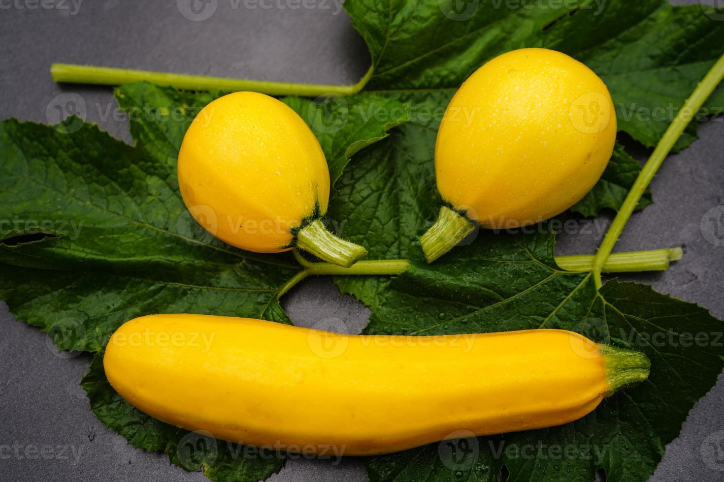 zucchine cucurbita pepo nel il vecchio terra Il prossimo per amburgo foto