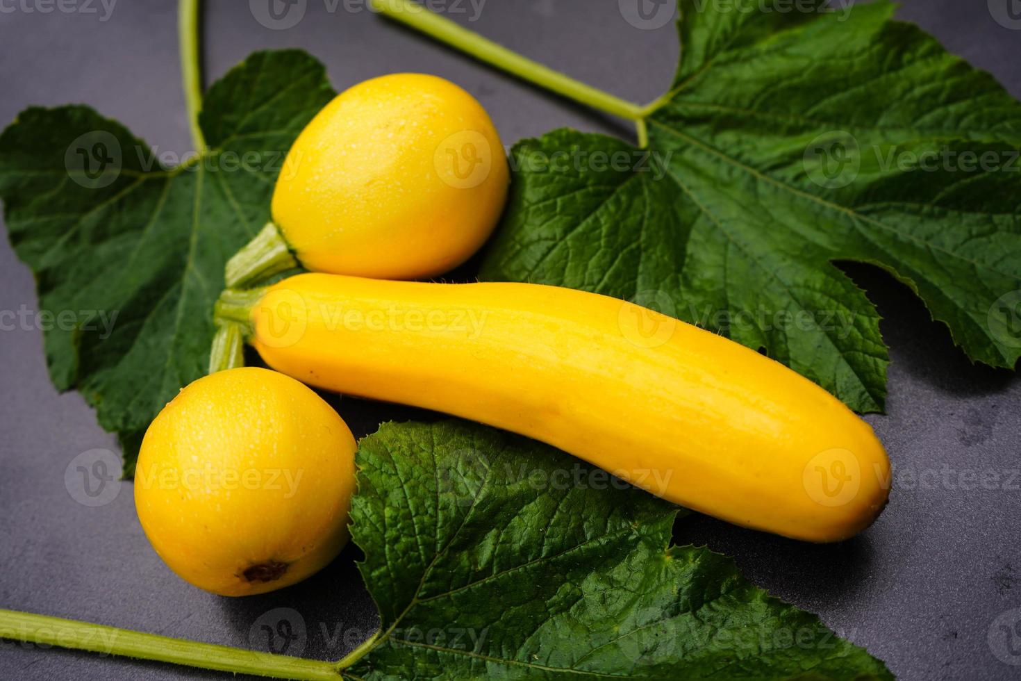 zucchine cucurbita pepo nel il vecchio terra Il prossimo per amburgo foto