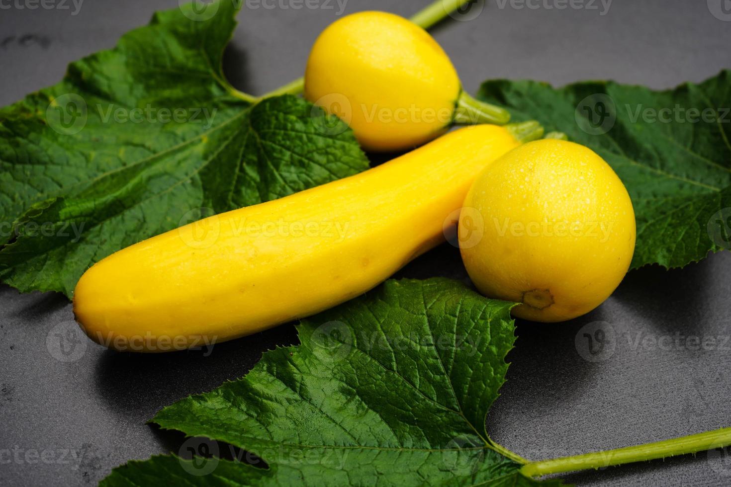 zucchine cucurbita pepo nel il vecchio terra Il prossimo per amburgo foto