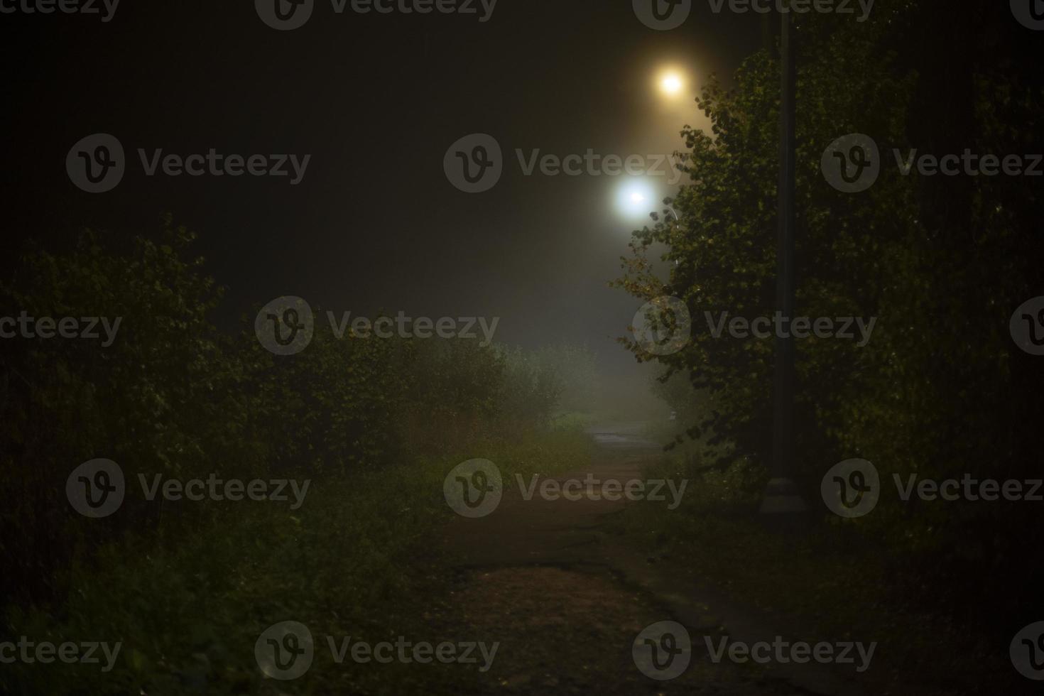 nebbia a notte nel parco. nebbia nel città. luci e umido aria. foto