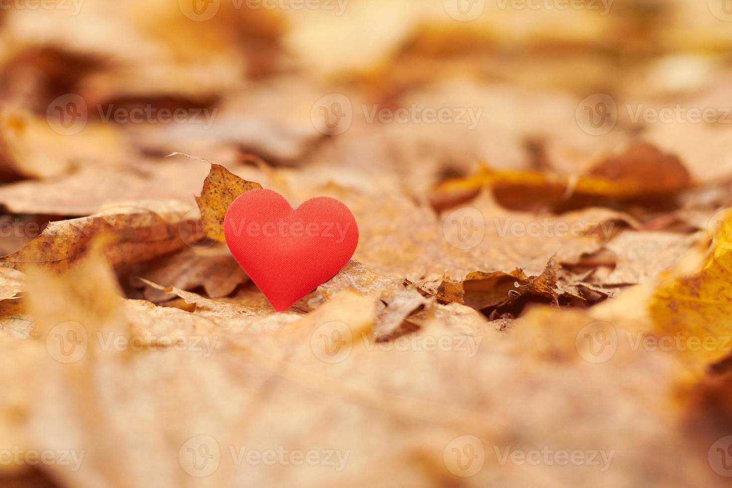 infatuazione, concetto di amore romantico unilaterale foto