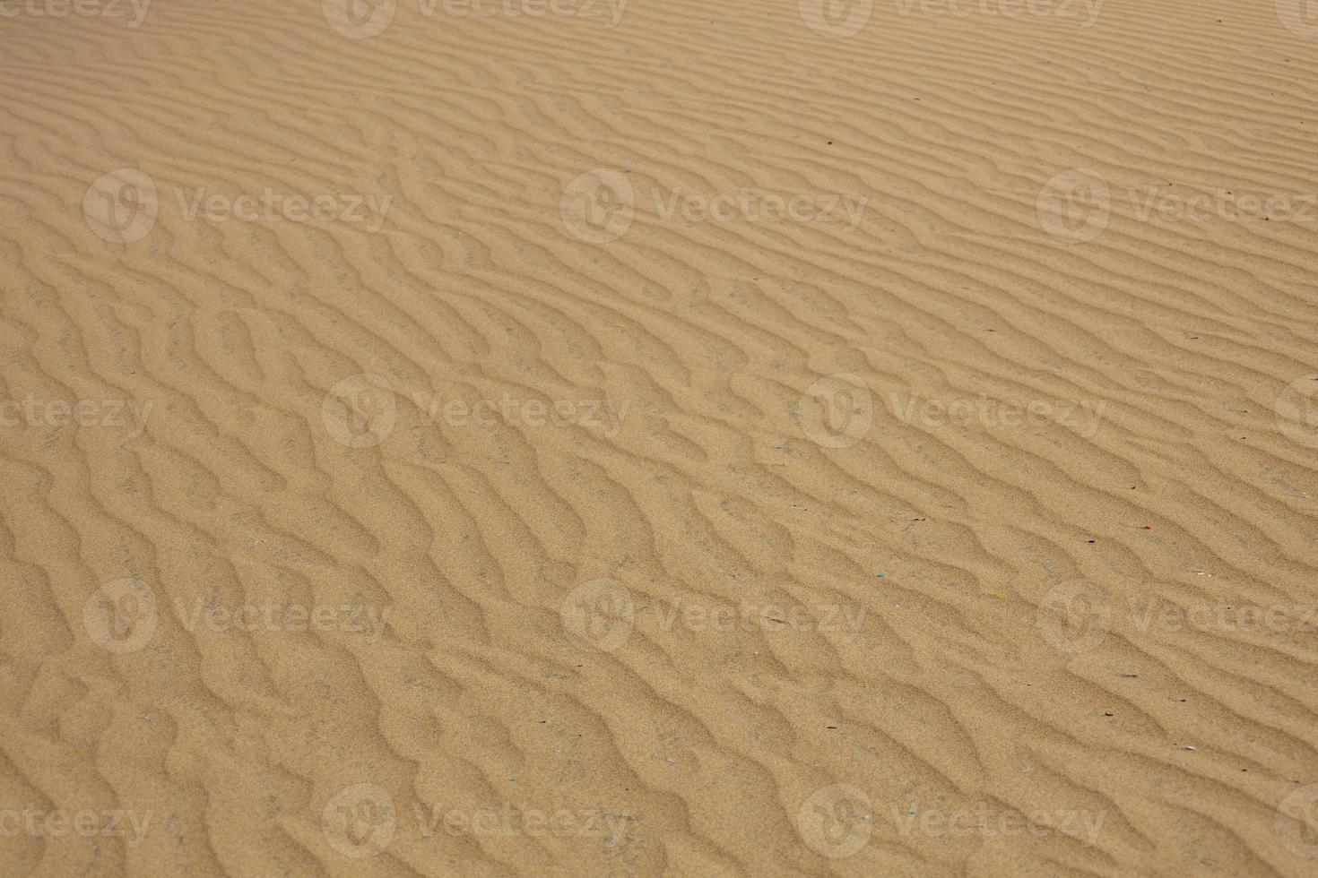 nonna canaria dune - maspalomas sabbia deserto, Spagna foto