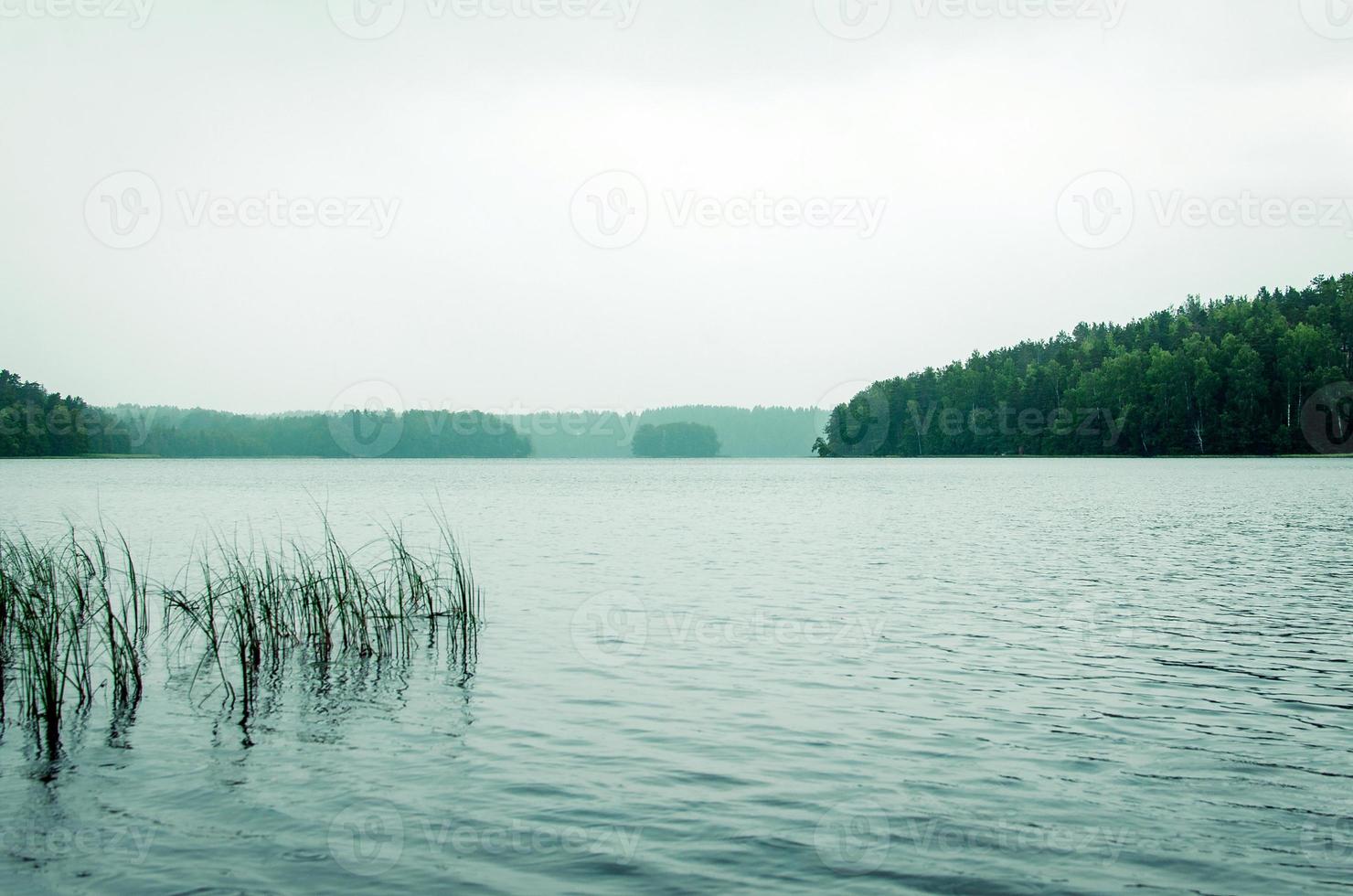 panoramico Visualizza di il lago circondato di foresta nel nuvoloso tempo metereologico foto