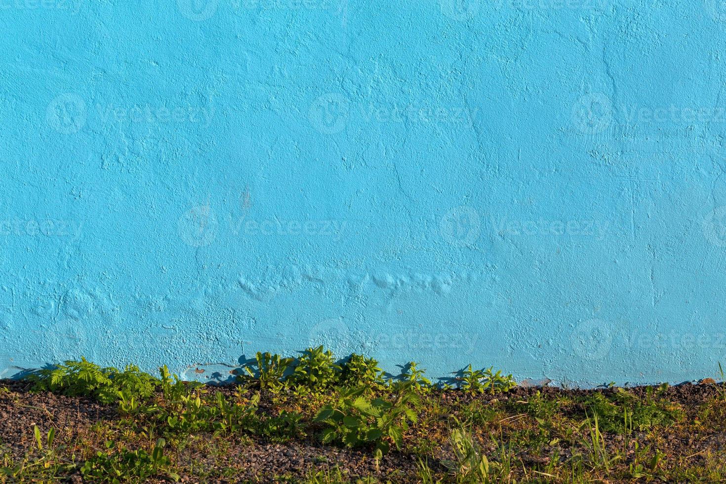 blu gesso parete e selvaggio erba sotto esso foto