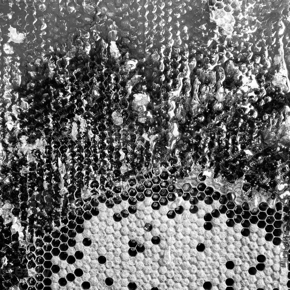 goccia di miele d'api gocciolamento da favi esagonali foto