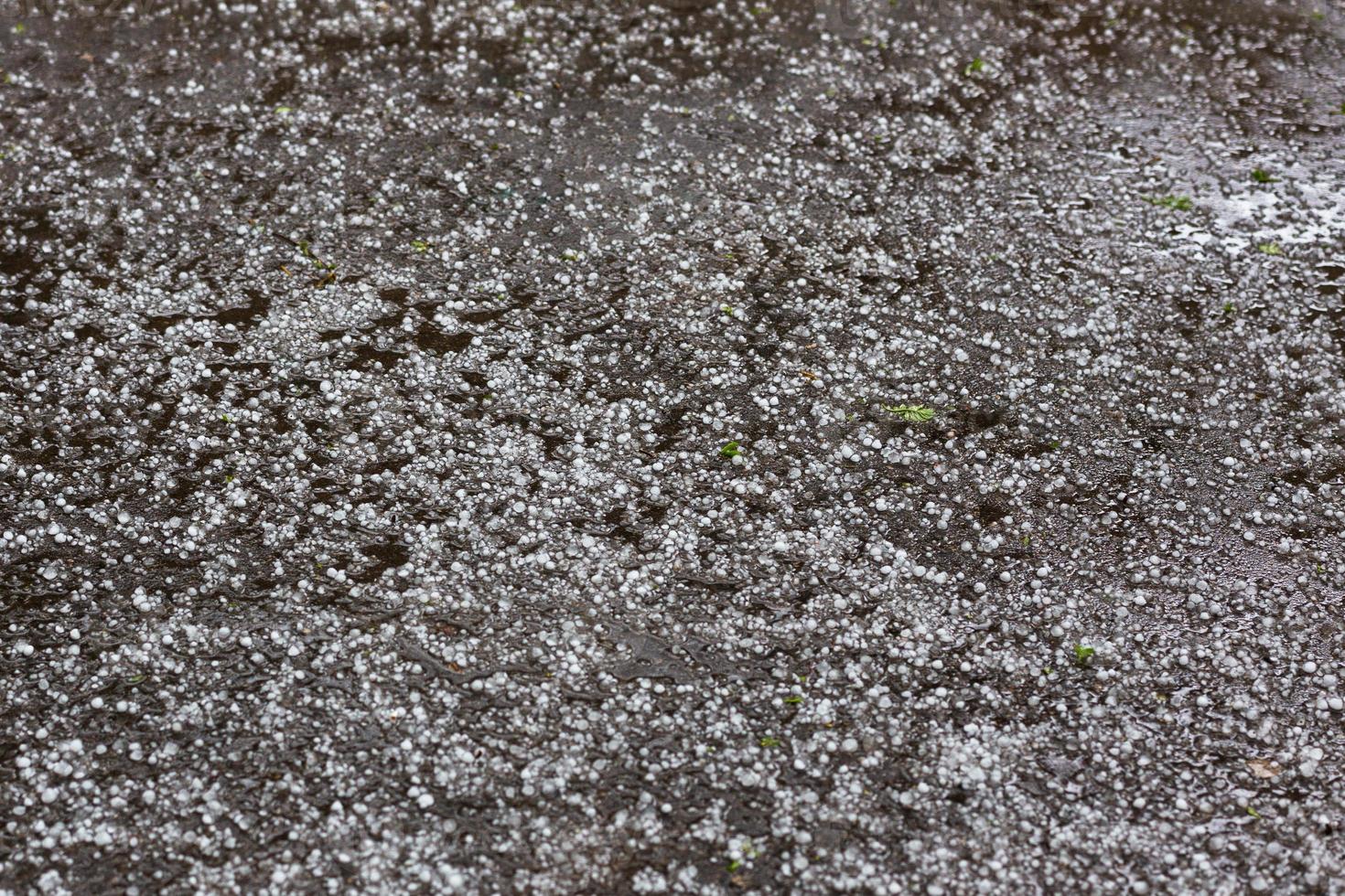 bianca ghiaccio grandine su il asfalto strada superficie foto