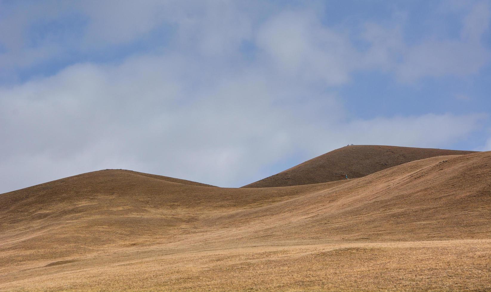 paesaggio sotto cieli bianchi e blu foto