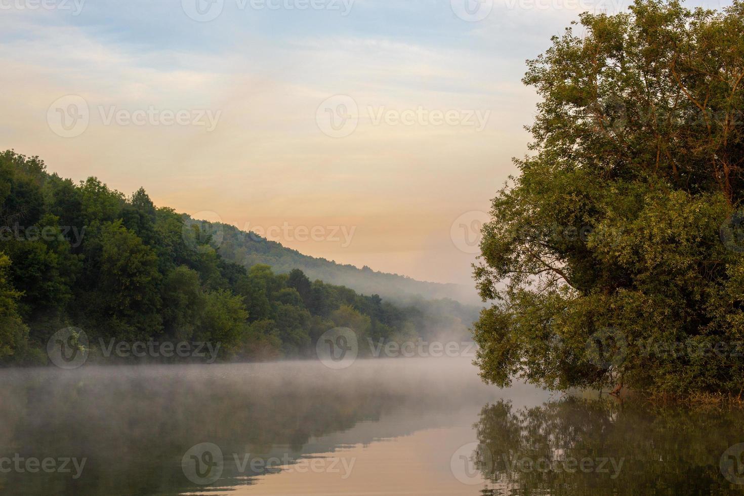 galleggiante nebbia su estate fiume con albero al di sopra di acqua foto