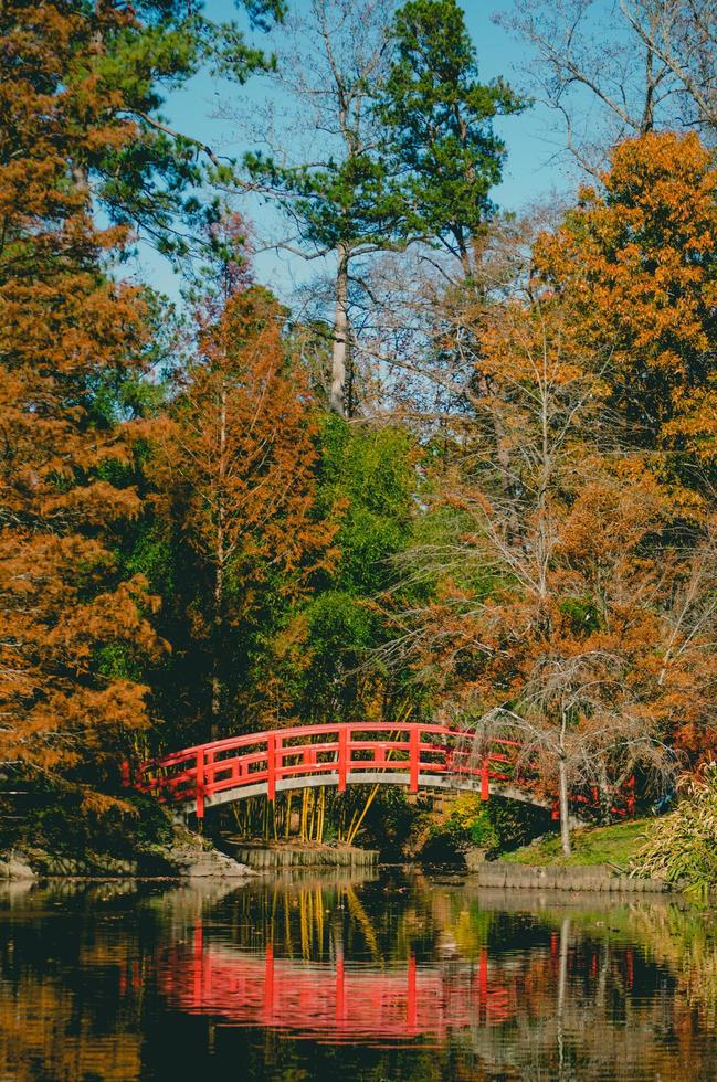 ponte rosso circondato da alberi foto
