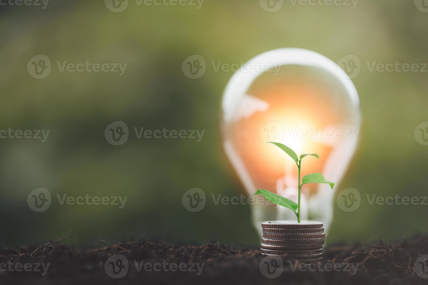 alternativa energia, rinnovabile energia, Salvataggio energia, elettricità leggero lampada a partire dal solare e finanza, finanza bancario crescita, energia azione investimento, albero in crescita su su moneta e lampadina su suolo foto