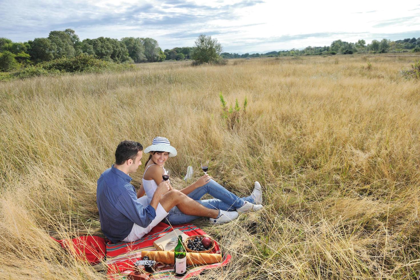 contento coppia godendo campagna picnic nel lungo erba foto