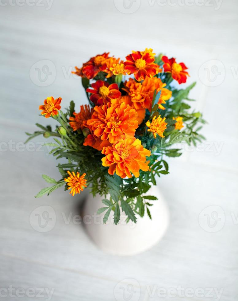 calendule fiori in vaso su sfondo grigio foto