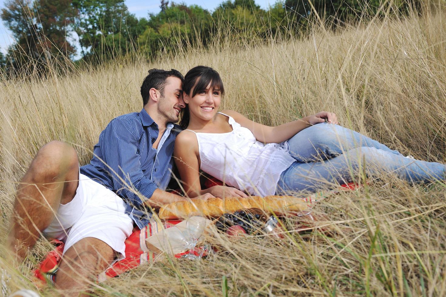 contento coppia godendo campagna picnic nel lungo erba foto