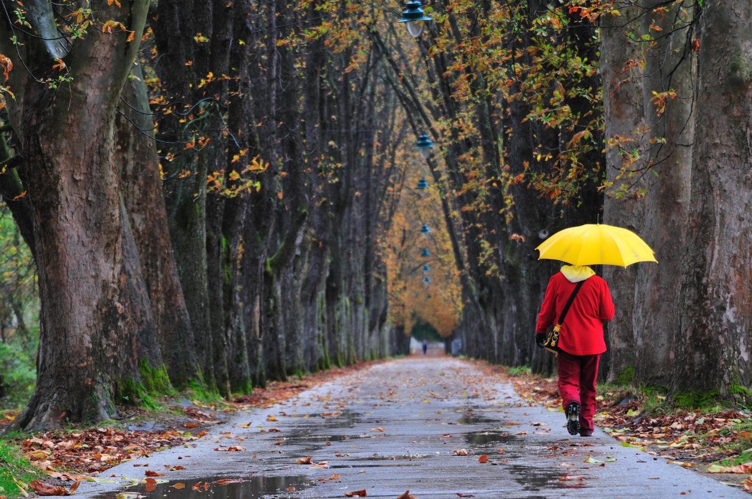 persone a piedi nel lungo vicolo a autunno autunno sesson foto