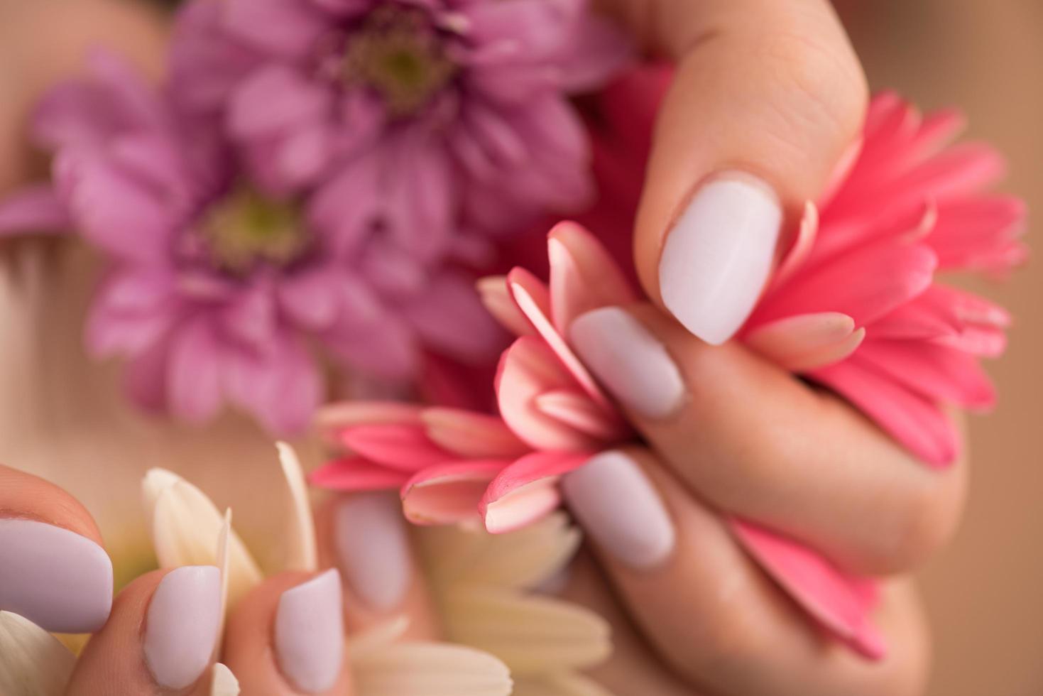 donna mani con manicure Tenere fiore foto