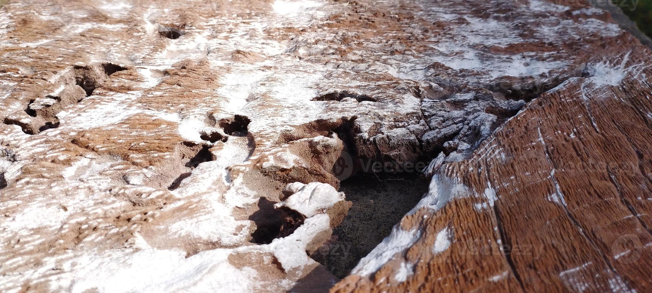 naturale estetico legna con legna grano su il ruvido davanti foto