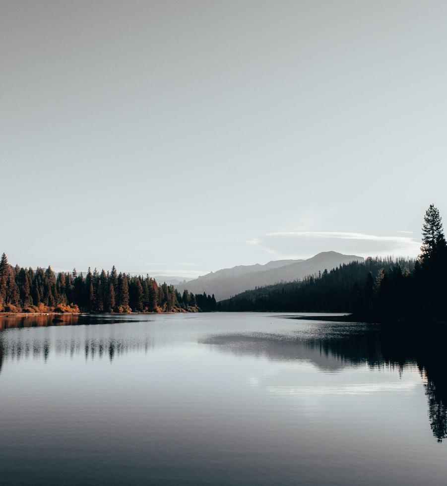 lago con alberi foto