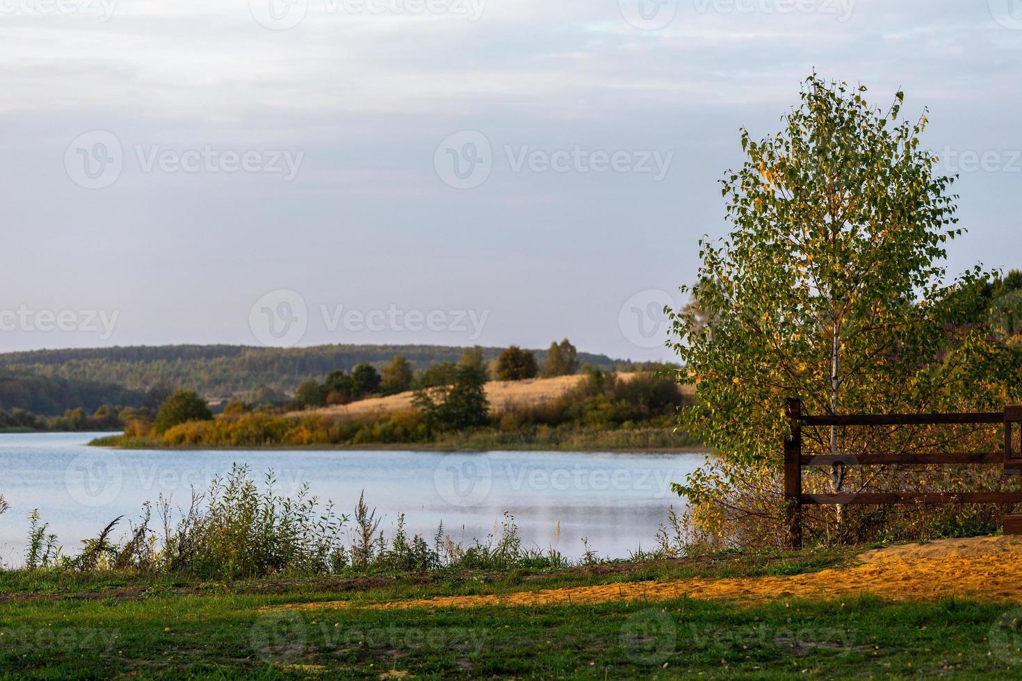estate russo sul fiume paesaggio con superficiale profondità di campo a luce del giorno foto